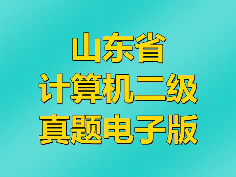 山东省计算机二级MS Office真题电子版